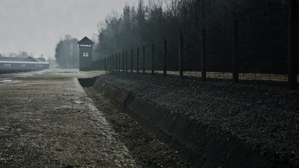 Come la scuola ricorda la Shoah, la parola agli insegnanti Other Souls - Shoah