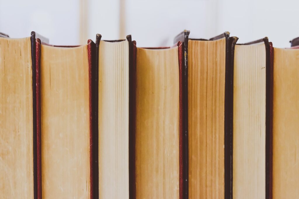 Scrittori esordienti italiani, libri
