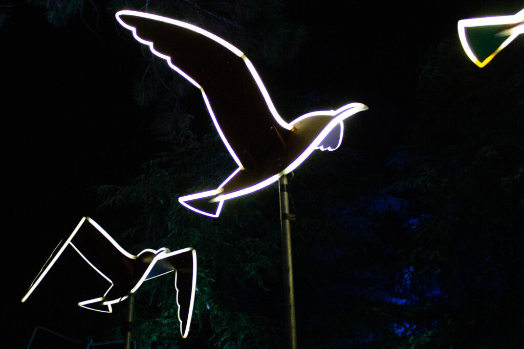 Birds Fly Around With You di Masamichi Shimada
